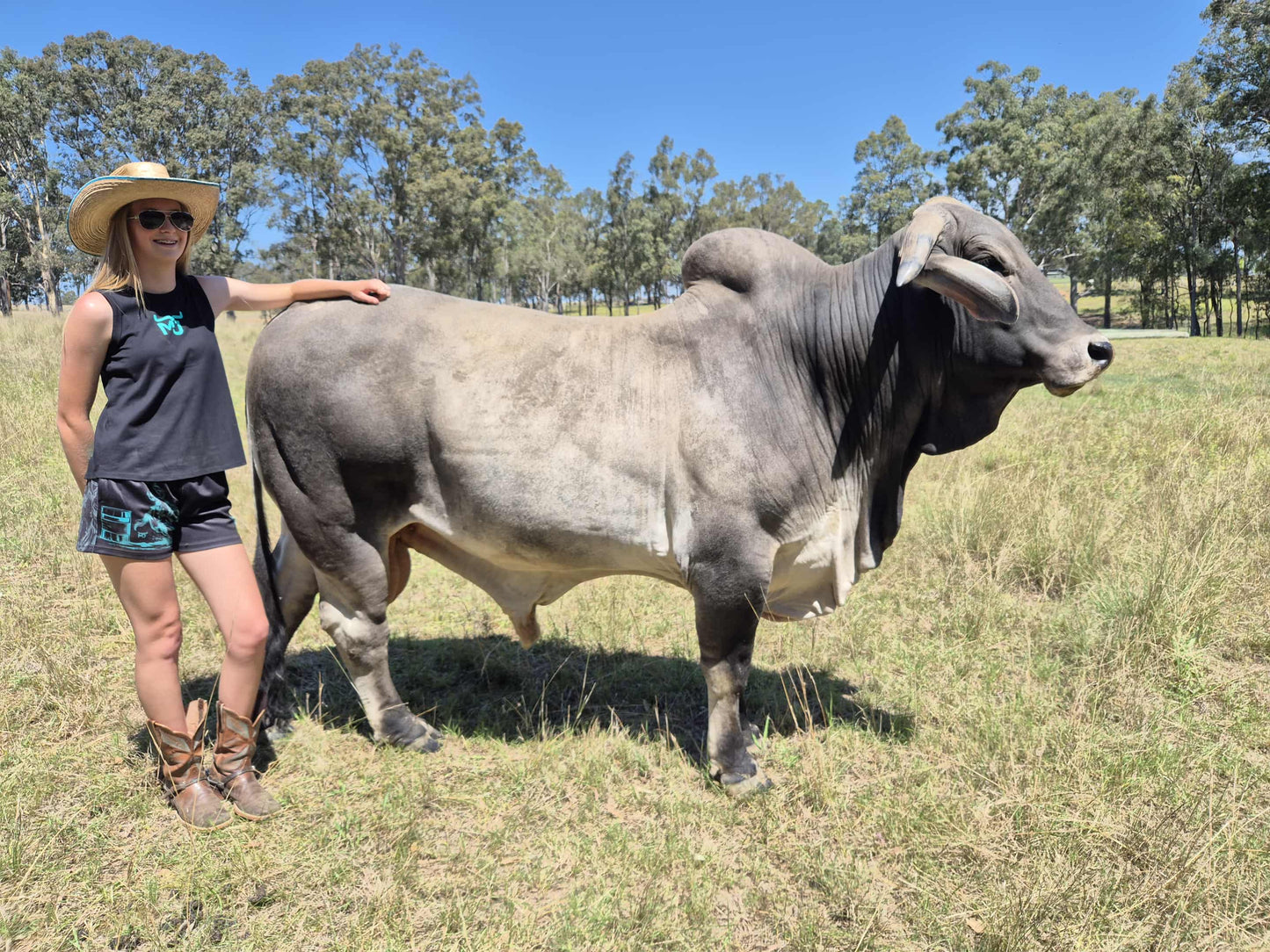 Ladies MJ Barrel Racer Singlet