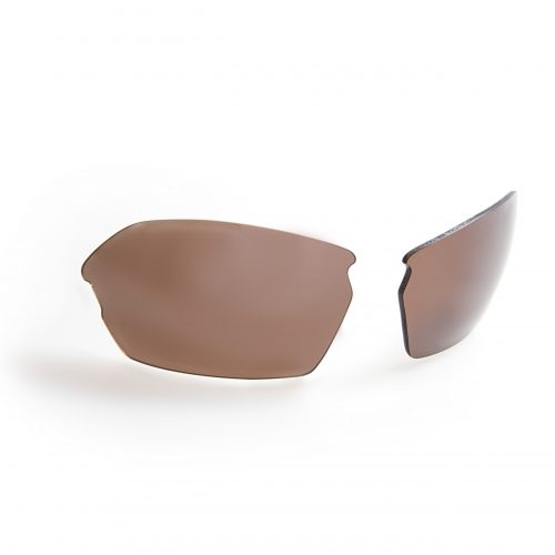 Liberty Tortoise Sunglasses by Gidgee Eyewear